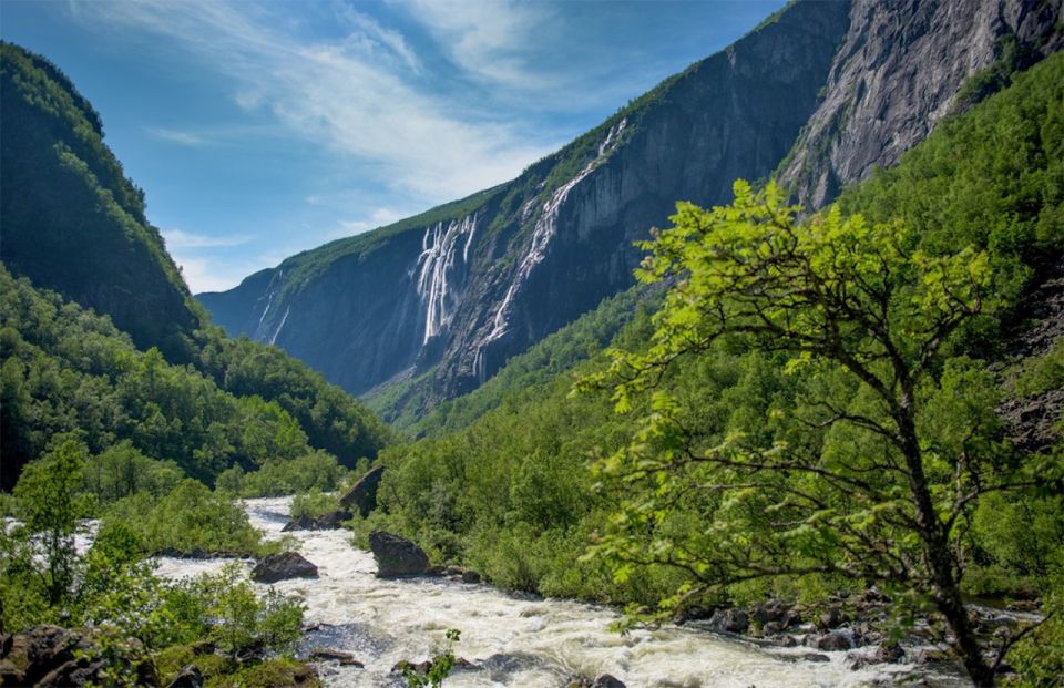 Bergen: Nærøyfjord Cruise and Flåm Railway to Oslo - Arrival in Oslo