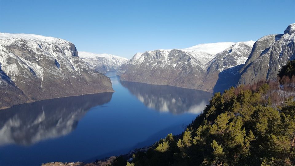 Bergen: RIB Sognefjord Safari and Flåm Railway Private Tour - Inclusions and Exclusions