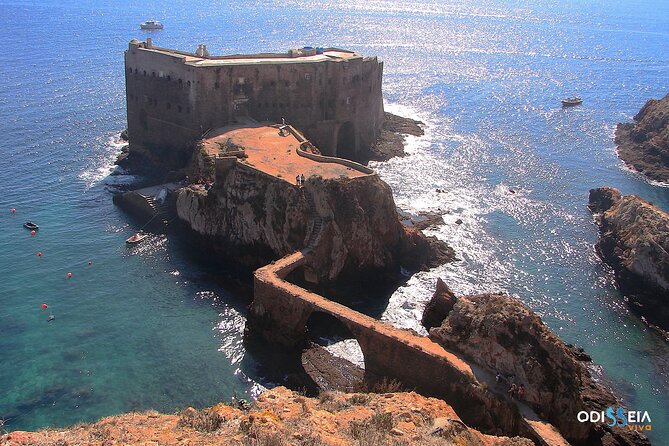 Berlengas Catamaran Tour - Wildlife Sightings