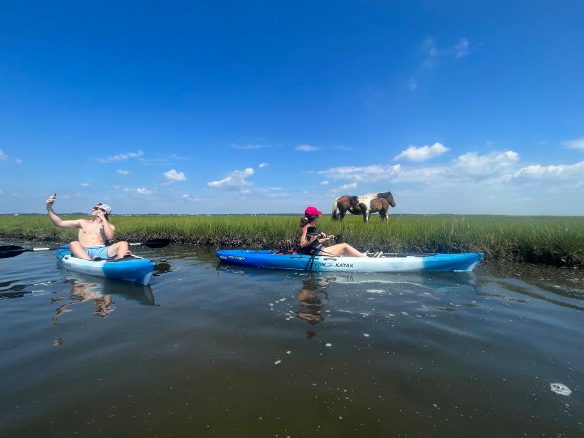 Berlin: Assateague Island Wildlife Discovery Kayak Tour - Discovering Assateagues Natural and Cultural History