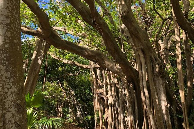 Bermuda Railway Trail and Off The Beaten Path Walking Experience - Learning About Bermudas Wildlife