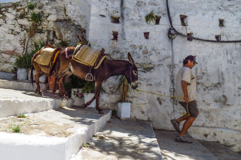 Best of Rhodes and Lindos Private Tour - Max 4 People - Customer Feedback