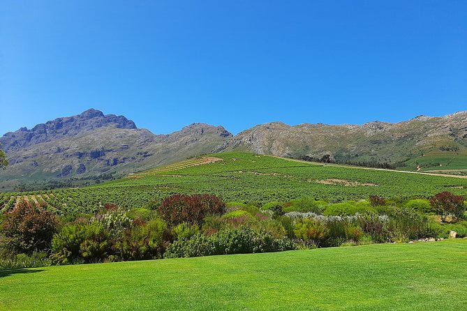 Best of the Winelands Private Tour - Guest Reviews