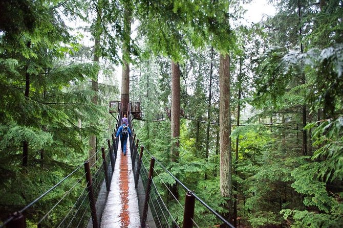 Best of Vancouver Small-Group Tour W/Capilano + Grouse Mtn Lunch - Benefits of a Small-Group Tour