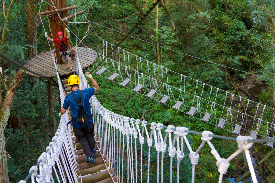 Big Island: 3-Hour Kohala Canopy Zipline Adventure - Guided Tour With Certified Guides