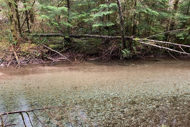 Bike/ E-bike North Vancouvers Seymour Demonstration Forest - Experience Details and Requirements