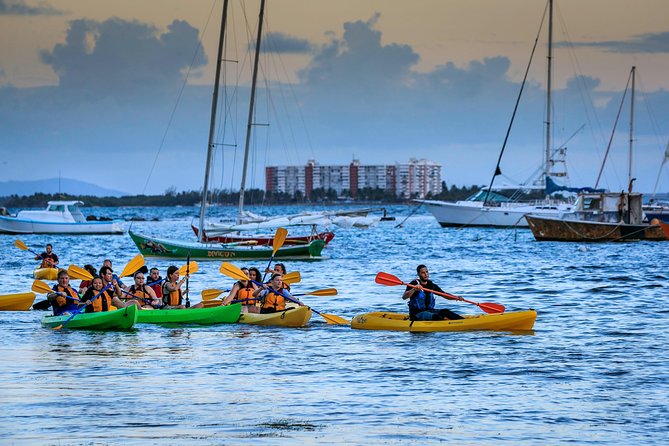 Bioluminescent Bay Night Kayaking Tour in Laguna Grande Fajardo - Additional Considerations