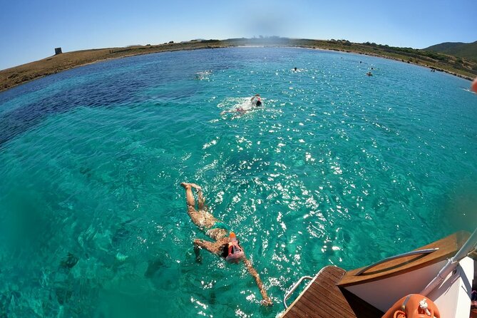 Boat Trip to Asinara With Lunch in Stintino - Preparation and Packing Tips