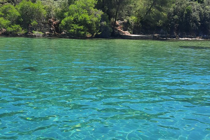 Boat Trip to the Nearby Islands of Zadar - Safety and Accessibility