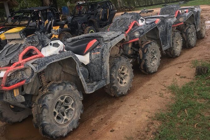 Boogies & Polaris Adventure In Buggy in Punta Cana - Transportation and Guides