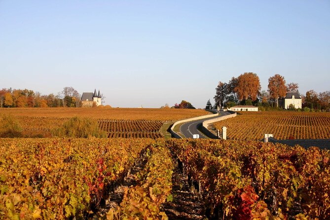 Bordeaux Vineyards Wine Tasting Half-Day Trip - Additional Tour Information