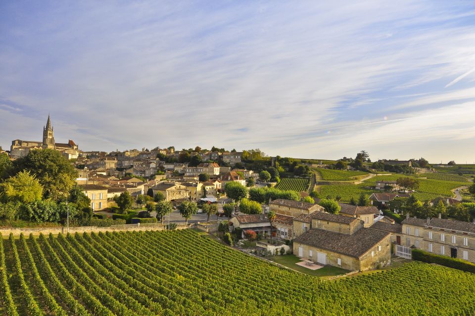 Bordeaux: Vineyards Wine Tasting Half-Day Trip - Transportation and Professional Guide Provided