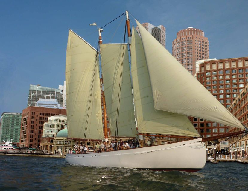 Boston: Downtown Harbor Sailing Cruise - Customer Feedback