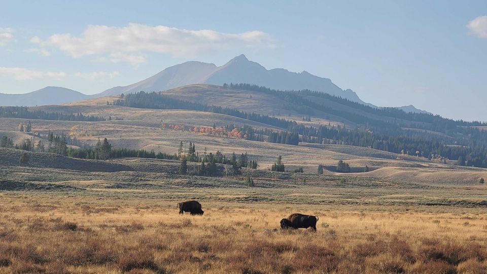 Bozeman: Yellowstone & Grand Teton National Park With Hotel - Getting to Bozeman