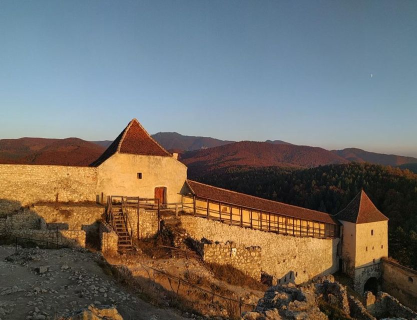 Brown Bear Sanctuary, Bran Castle & Rasnov Fortress Day Tour - Photo Opportunities and Memories