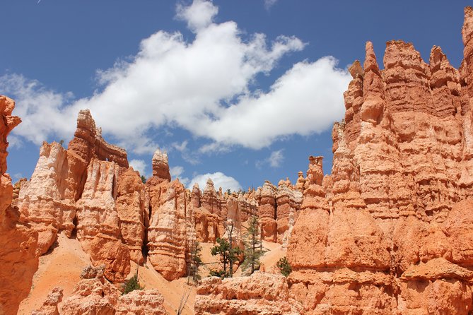 Bryce Canyon & Zion National Parks From Vegas, Lunch, Free Wifi - Important Considerations