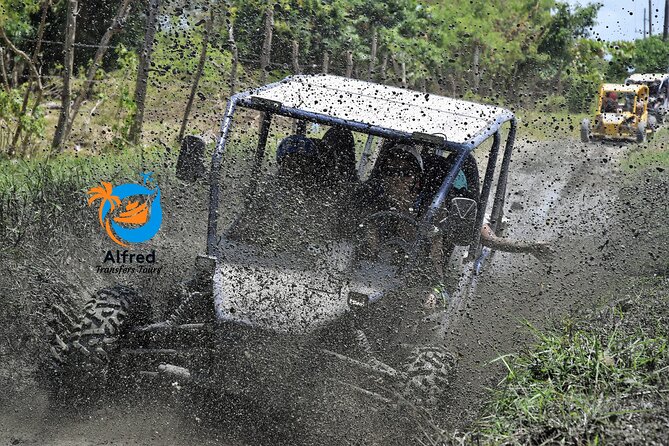 Buggy Excursion in Puerto Plata - Professional and Friendly Staff