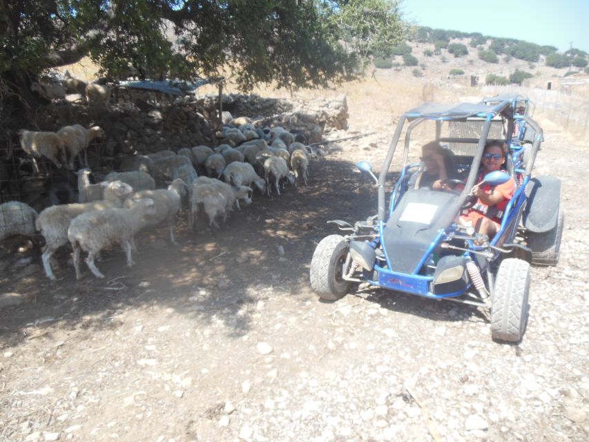 Buggy Safari Crete (Transfer and Lunch) Analipsi- Hersonisos - Cretan Lunch