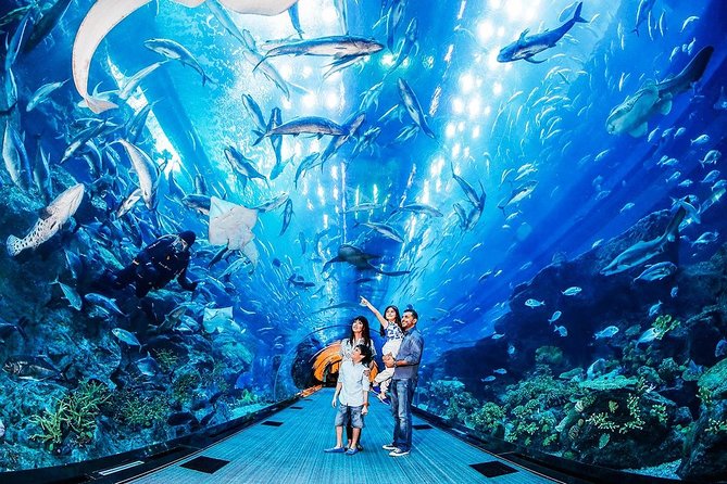 Burj Khalifa At the Top & Dubai Aquarium Combo Entrance Tickets - Customer Reviews