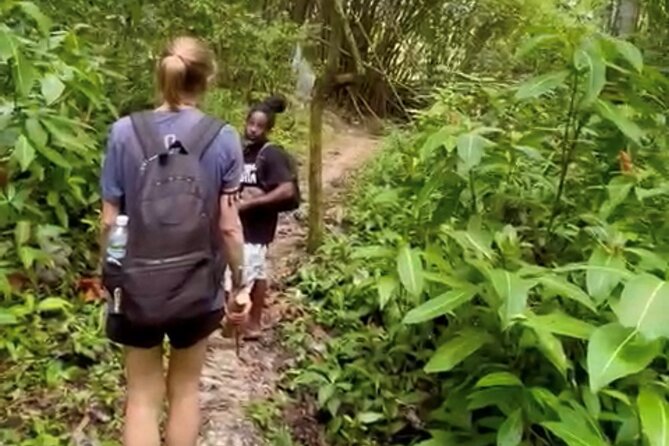 Bush Hiking to Explore Wild Plants & Fresh Fruits,Montego Bay - Group Participation