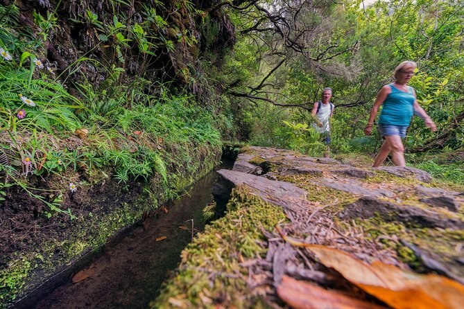 Calderão Verde Levadas Walk in Madeira - Testimonials and Reviews From Previous Travelers