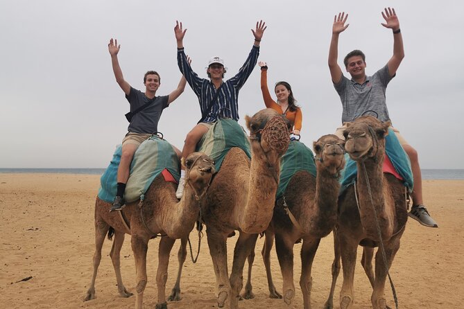 Camel Ride in Tangier - Tour Logistics and Accessibility