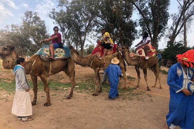 Camel Riding Agadir - Booking and Confirmation Process