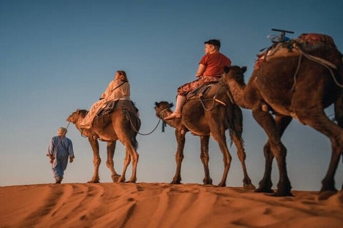 Camel Trekking & 1 Night in Sahara Desert Camp - Duration and Schedule