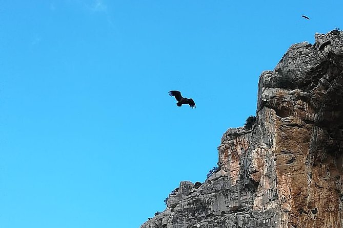 Caminito Del Rey Trekking Walkway - Accessibility and Transportation