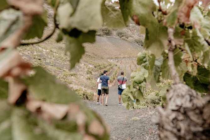 Canarian Wine Experience at Bodega Los Lirios - Booking Confirmation and Accessibility