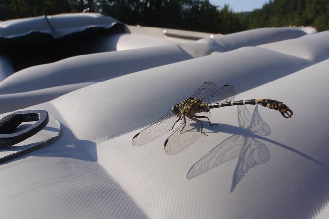 Canoeing/Kayaking on Kupa River, Croatia - Discovery Trip - Safety Precautions