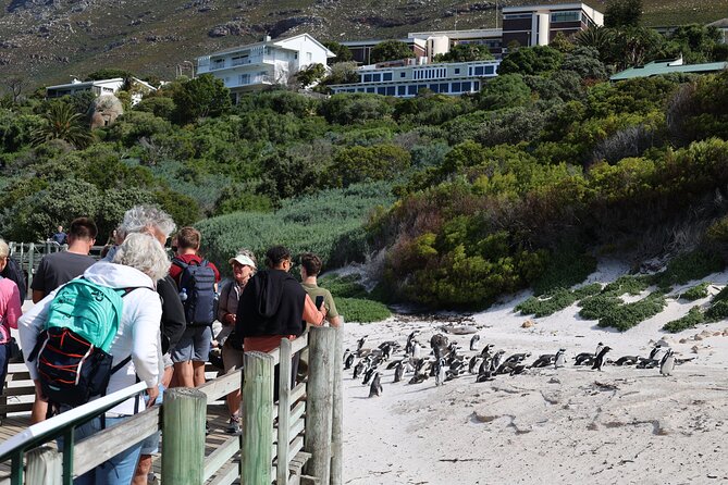 Cape Town: Cape of Good Hope, Table Mountain & Wine Tasting Tour - Flexible Cancellation Policy