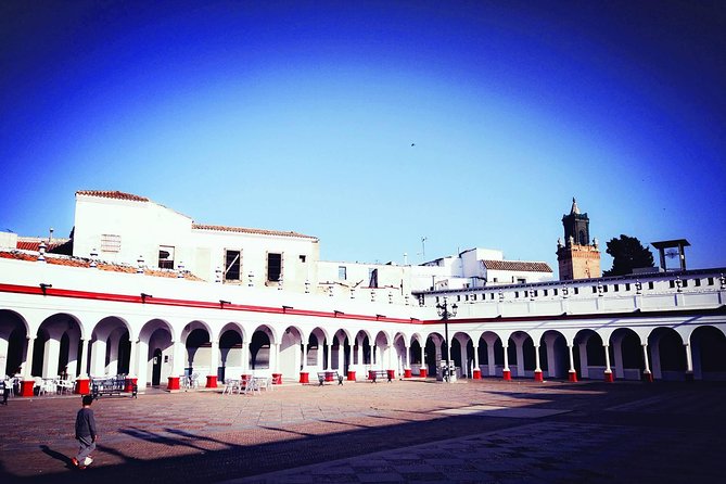 Carmona and Necropolis: Guided Day Tour From Seville - Visitor Feedback and Recommendations