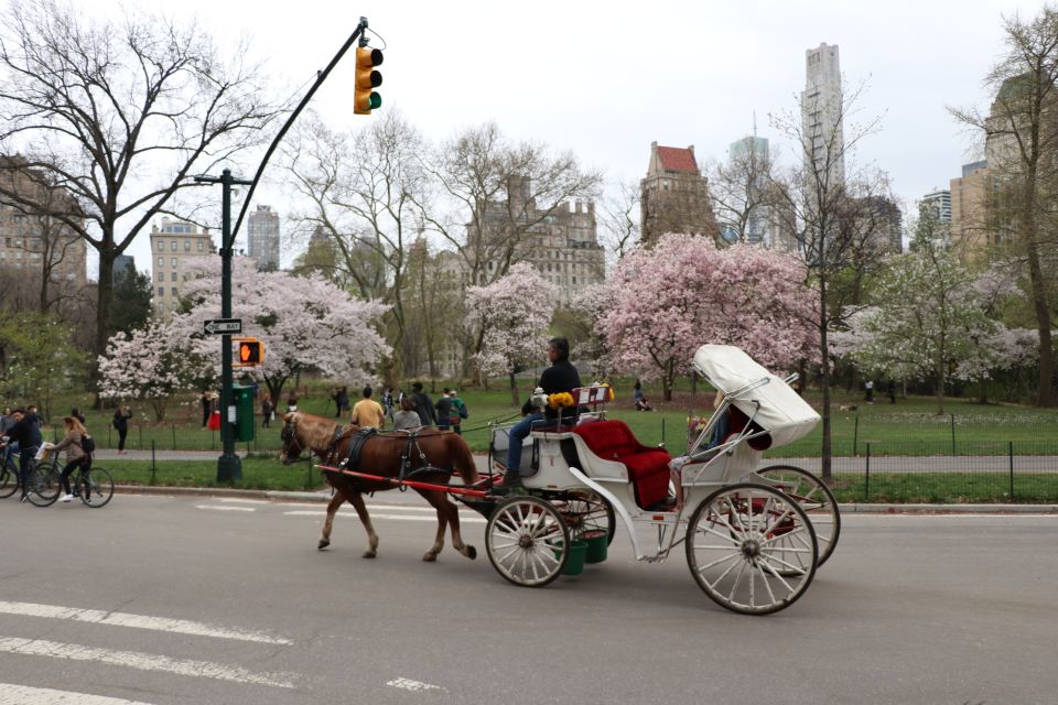 Carriage Ride To/From Tavern on the Green (Up to 4 Adults) - Admire City Skyline