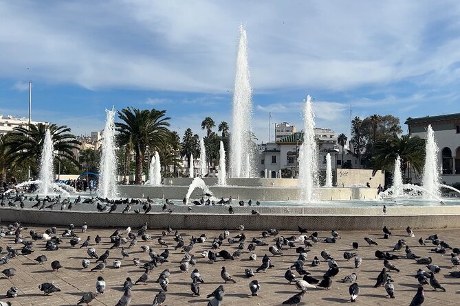 Casablanca Guided Sightseeing Shared Tour With Van - Highlights of the Tour