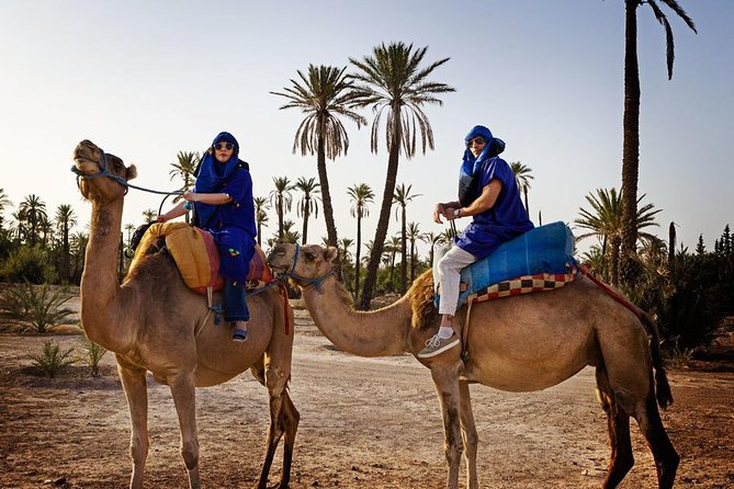 Casablanca to Marrakech Day Trip With Camel Ride - Recommendations