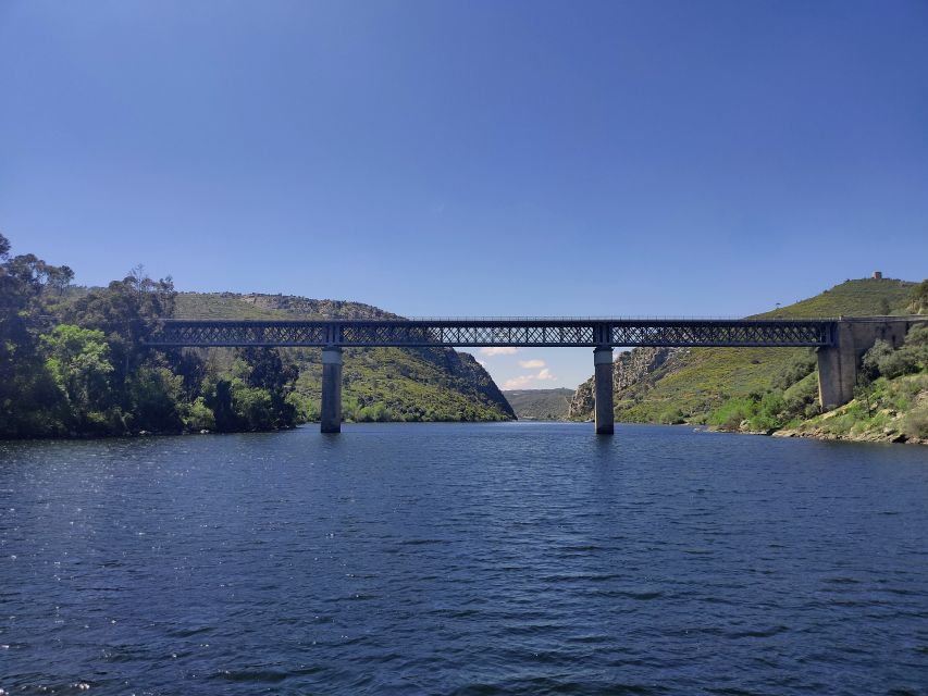 Castle Branco: Natural Monument of Ródão Doors Boat Trip - Restrictions