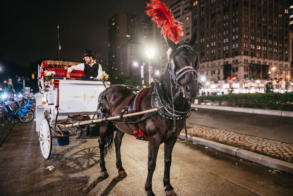 Central Park, Rockefeller & Times Carriage Ride (4 Adults) - Photographic Opportunities