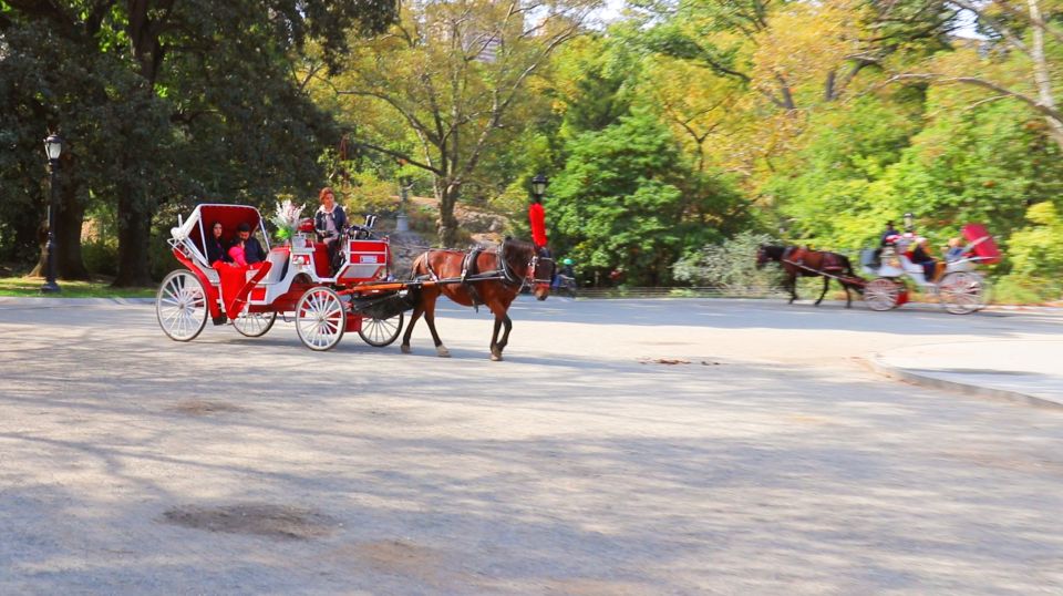 Central Park: Short Horse Carriage Ride (Up to 4 Adults) - Weather Considerations