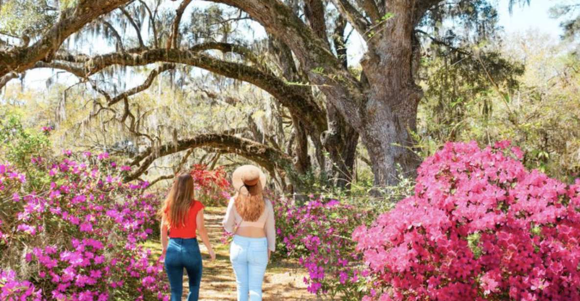 Charleston: Historic City Tour & Magnolia Plantation Combo - Charleston Historic City Tour