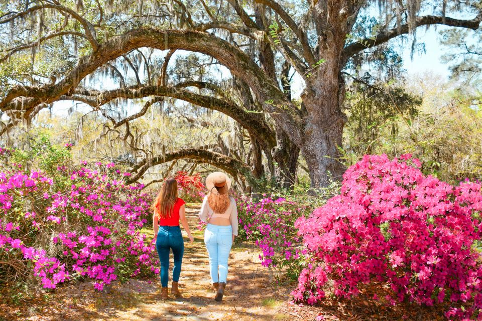 Charleston: Magnolia Plantation Entry & Tour With Transport - Guided House Tour