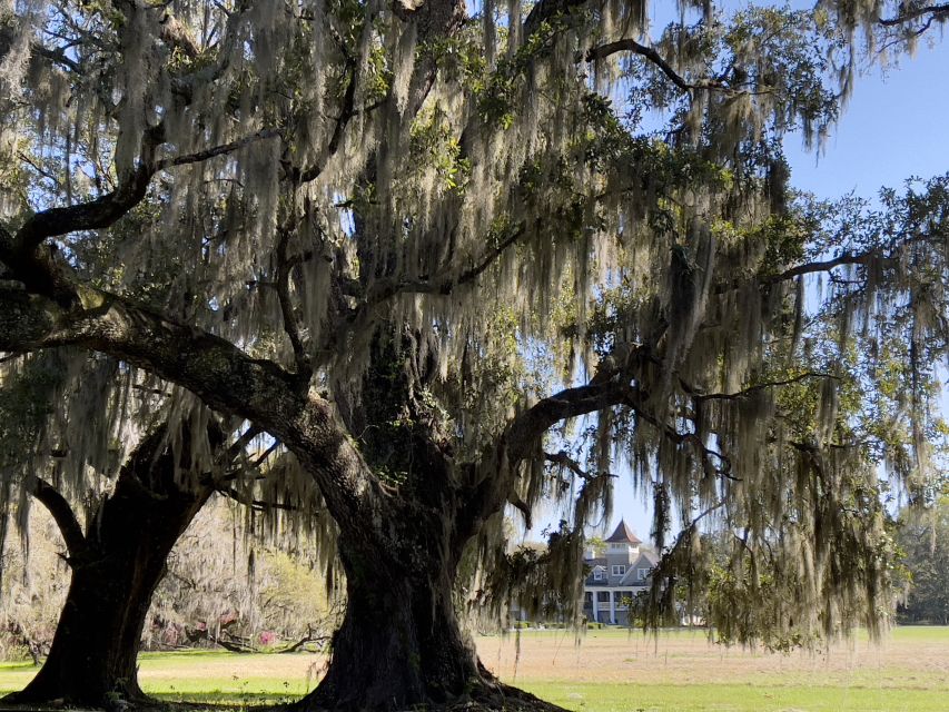 Charleston: The Complete Lowcountry Tour. Get Out of Town! - Reservation and Cancellation