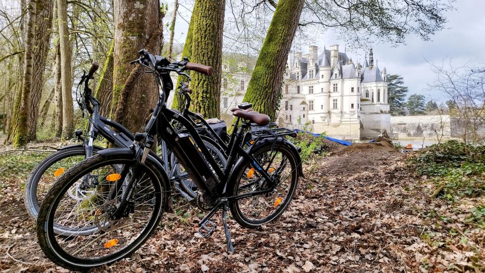 Chenonceau: Guided Ebike Ride and Wine & Cheese Picnic Lunch - Limited Group Size