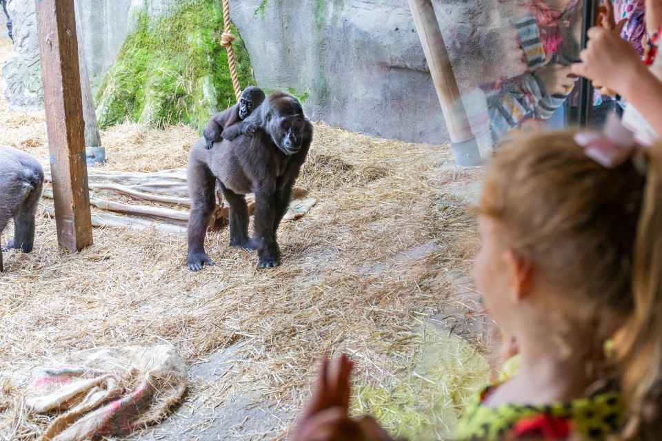 Chessington World of Adventures Resort: Entrance Ticket - Childrens Admission