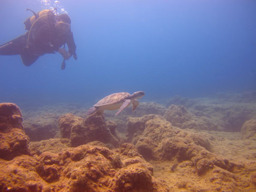 City of Side: Underwater Museum Scuba Diving Visit - Booking and Availability