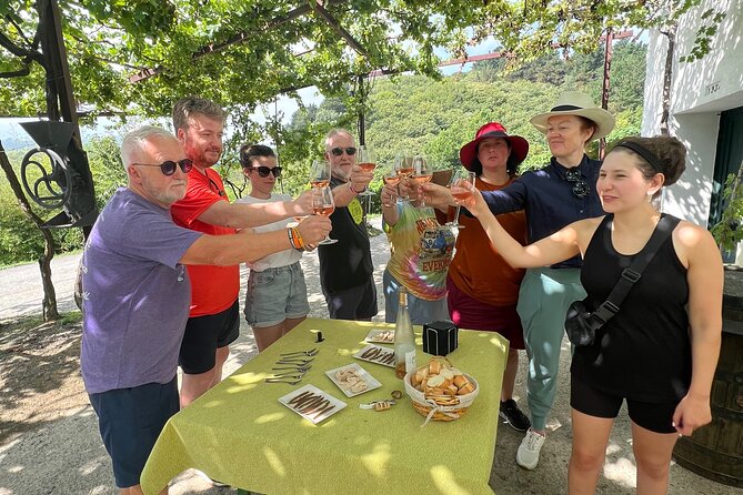 Coastal Winery Camino Trail Walking Tour From San Sebastian - Additional Tour Information