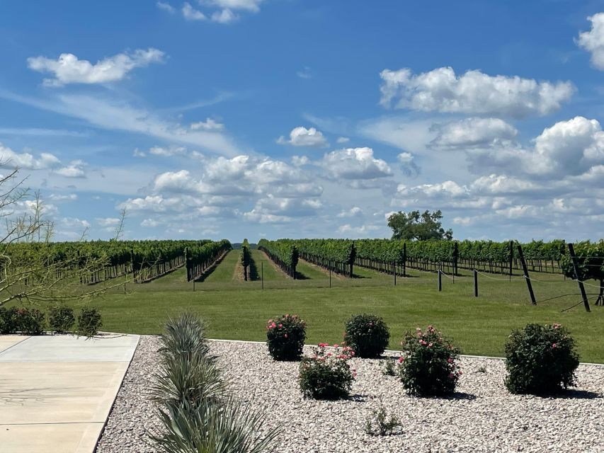 Cost-Effective Texas Hill Country Wine and Brewery Tour - Local Insights and After-Hours