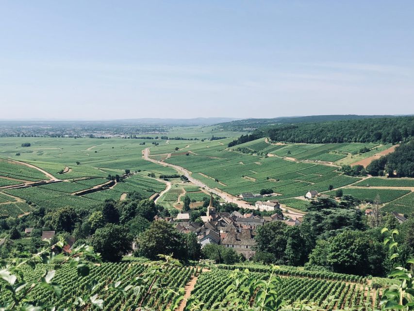 Côte De Beaune and Côte De Nuits: Private Full-Day Wine Tour - Highlights of the Tour