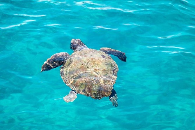 Cruise to Turtles Island and Caves With a Glass Bottom Boat - Cancellation Policy