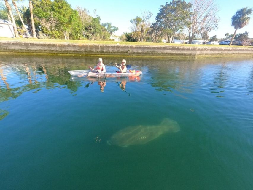 Crystal River: Clear Kayak Manatee Ecotour - Frequently Asked Questions